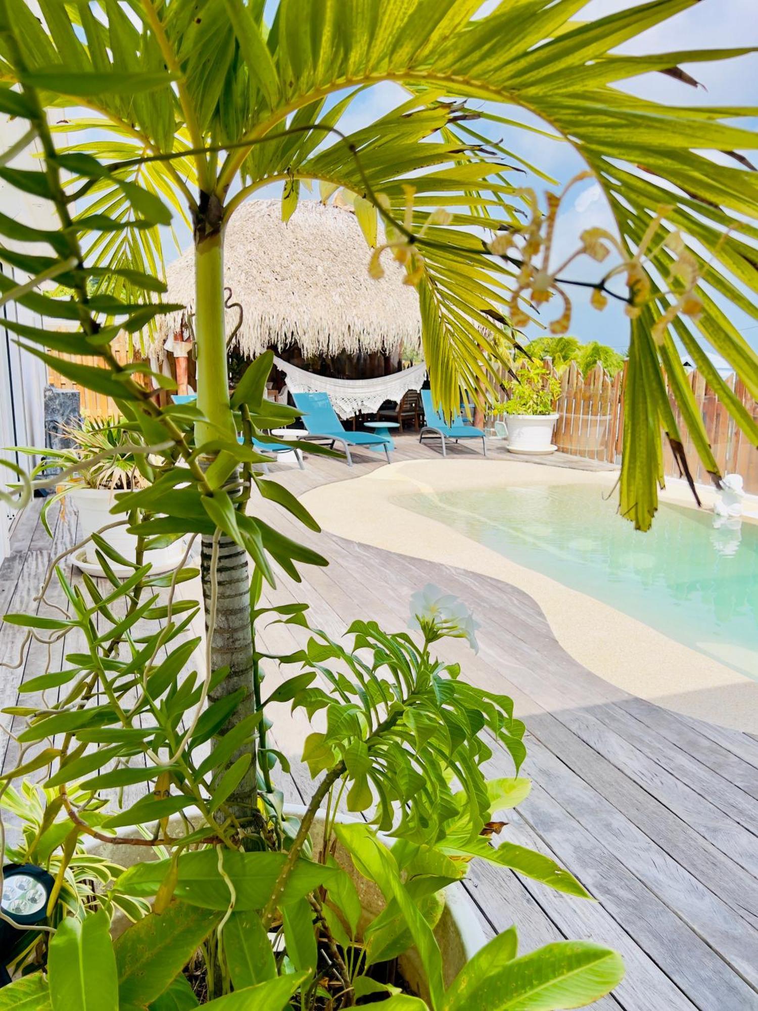 Villa Amaryllis luxueuse,piscine,vue mer,plage Sainte-Luce Extérieur photo