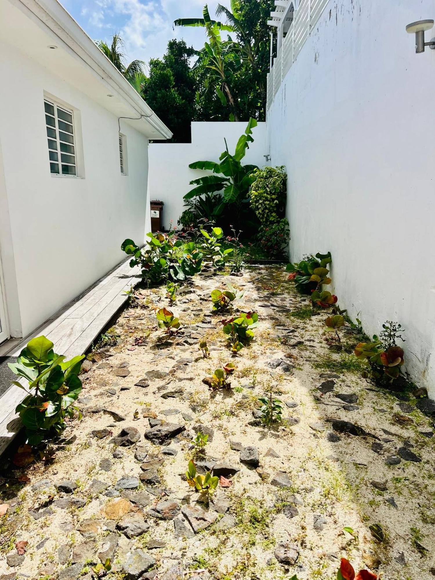 Villa Amaryllis luxueuse,piscine,vue mer,plage Sainte-Luce Extérieur photo